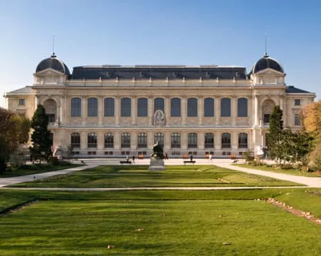 Priceless Gold Pieces Taken in Audacious Raid at French Natural History Institution
