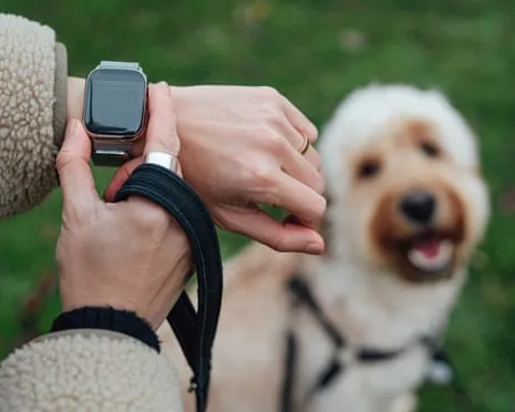 The Honest Scoop About Smartwatches? Living Feels Fuller Devoid of a Nagging Gadget on Your Wrist